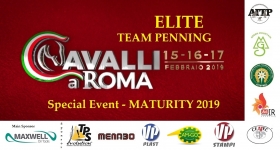 CAVALLI A ROMA - HOME